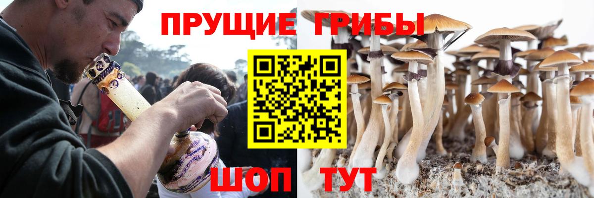 Галлюциногенные грибы GOLDEN TEACHER  Вход с VPN  магазин    Белово 
